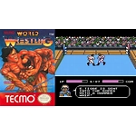 tecmo world wrestling Choose a wrestlers 1